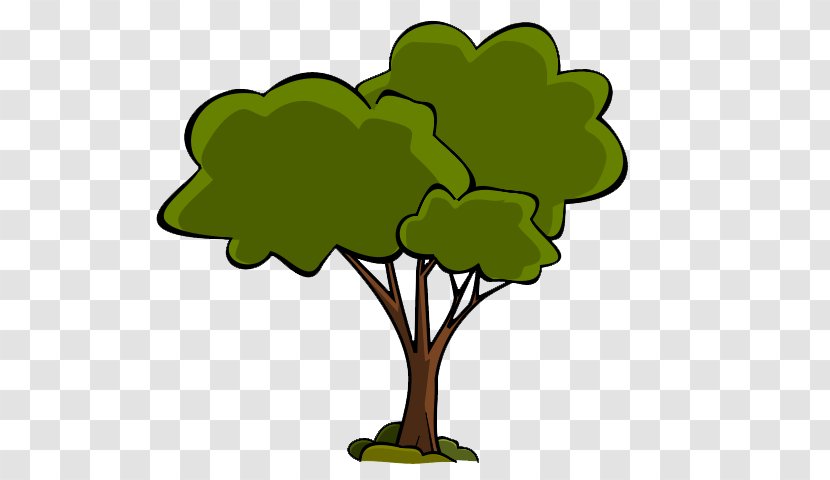 Clip Art Public Domain Illustration Image Tree - Branch - Canaan Fir Growth Rates Trees Transparent PNG