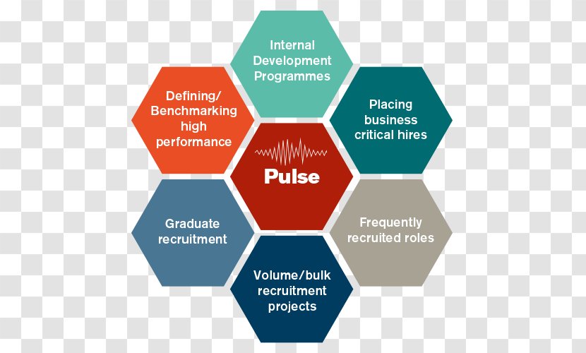 Honeycomb - Talent Management Transparent PNG