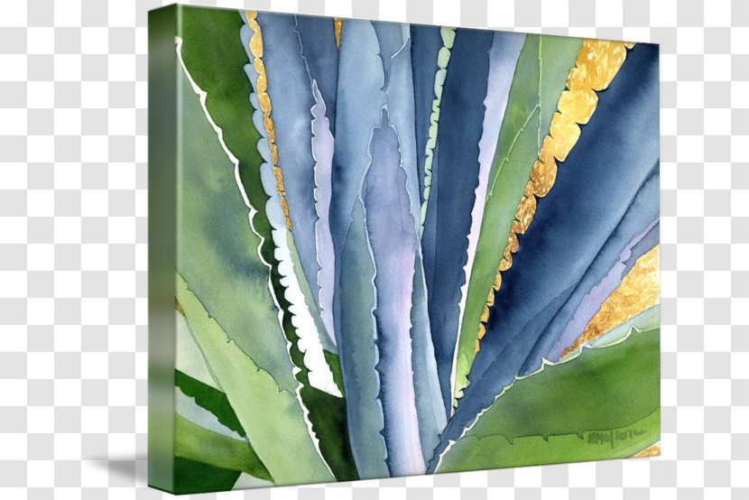 Canvas Print Printing Watercolor Painting Art - Cactus - Jaguar Transparent PNG