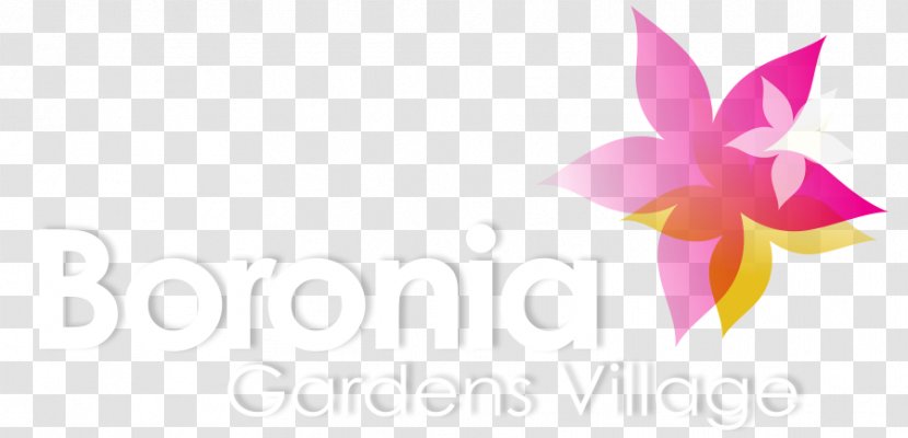Albany Boronia Gardens Village Petal Clip Art - Pink - First Governor Of Western Australia Transparent PNG