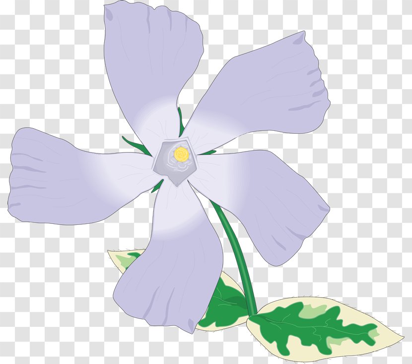 Royalty-free Clip Art - Flowering Plant - Xi An Transparent PNG