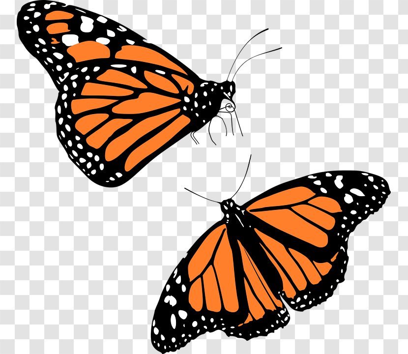 Monarch Butterfly Migration Clip Art - Cartoon Bees Transparent PNG