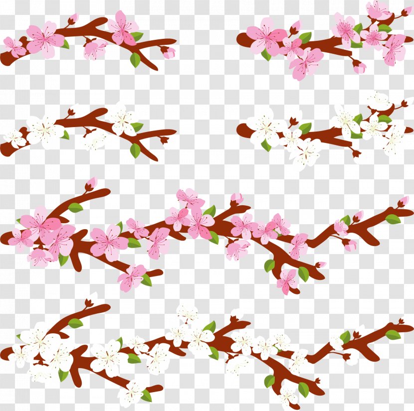 National Cherry Blossom Festival Pink - Petal - Romantic Blossoms Transparent PNG