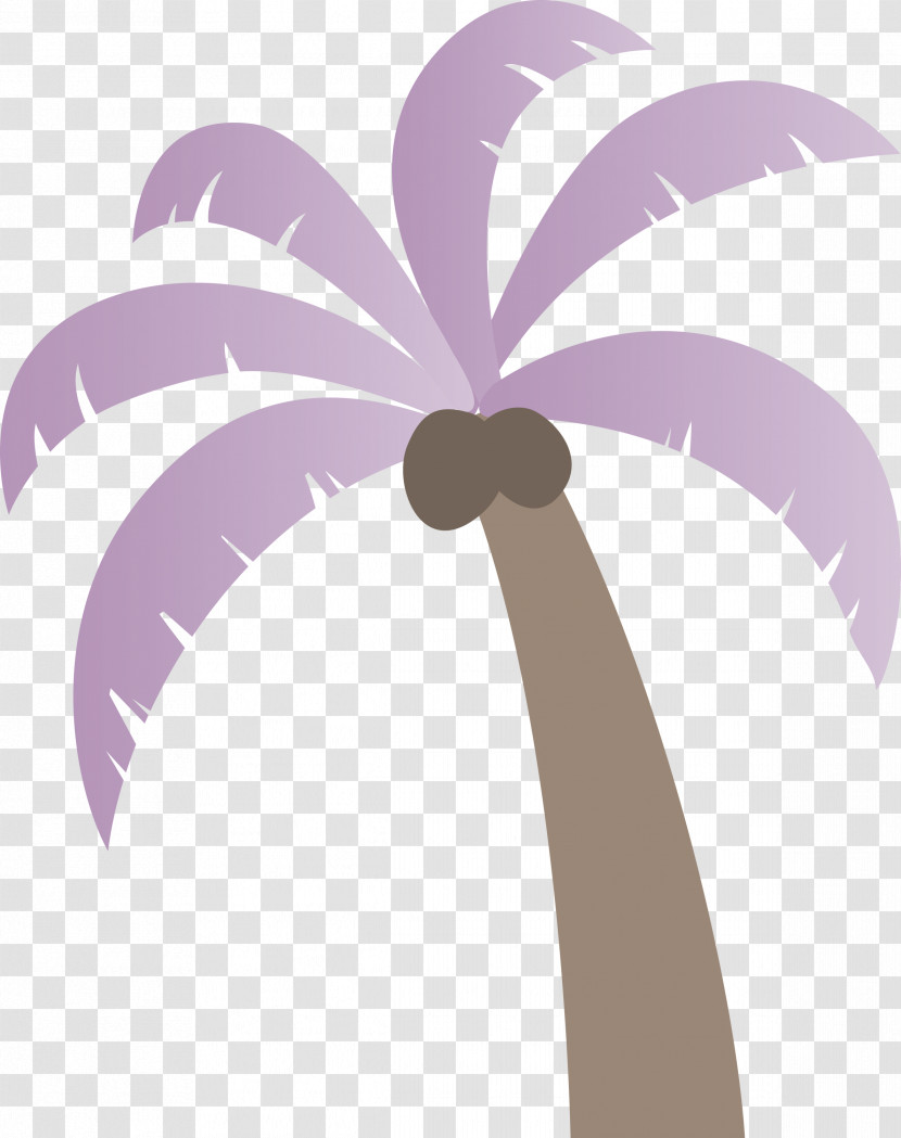 Palm Trees Transparent PNG