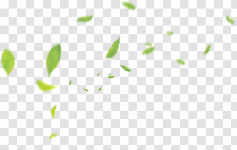 Green Pattern - White - Floating Leaves Transparent PNG