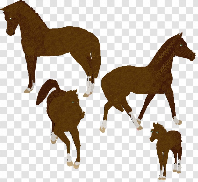 Mustang Foal Mare Thoroughbred Appaloosa - Horse Transparent PNG