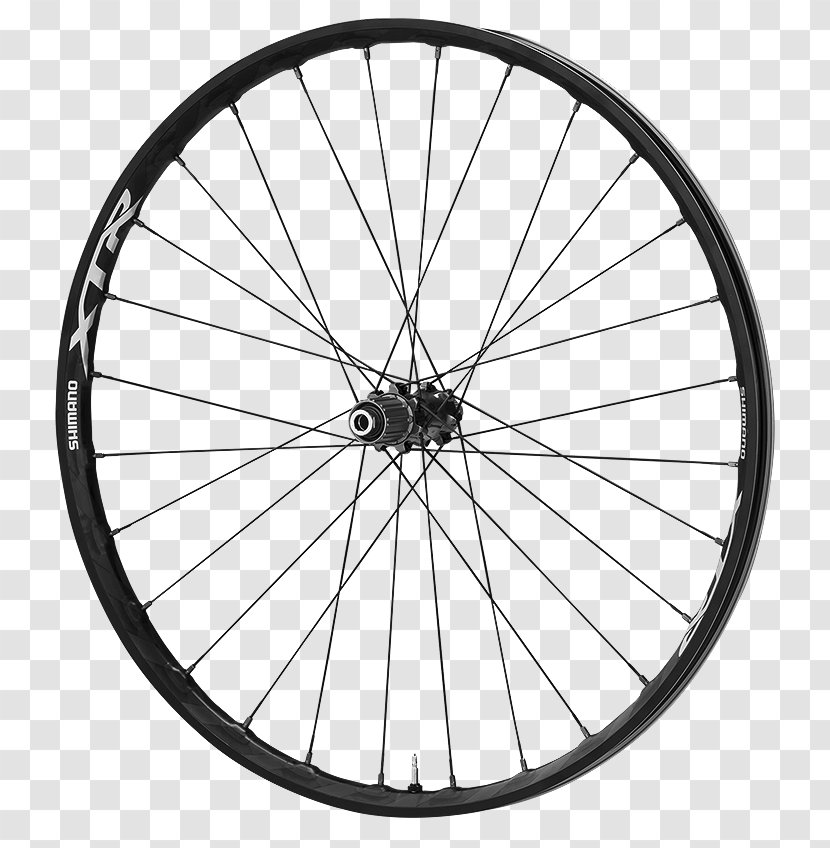 Bicycle Wheels DT Swiss 29er - Hub Gear Transparent PNG