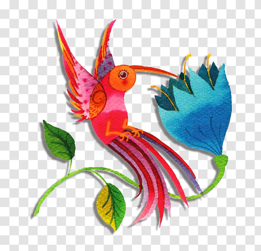 Hummingbird El Guardador De Secretos Illustrator - Parrot - Om Mani Padme Hum Transparent PNG