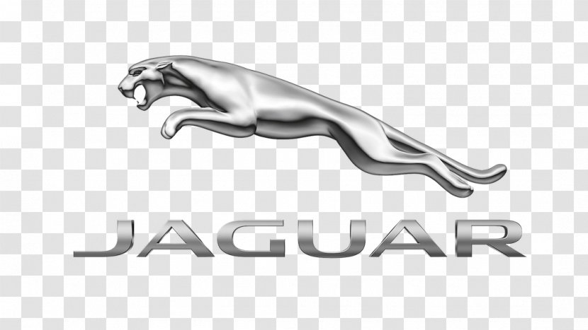 Jaguar Cars Logo Design Autoserenissima - Car Transparent PNG