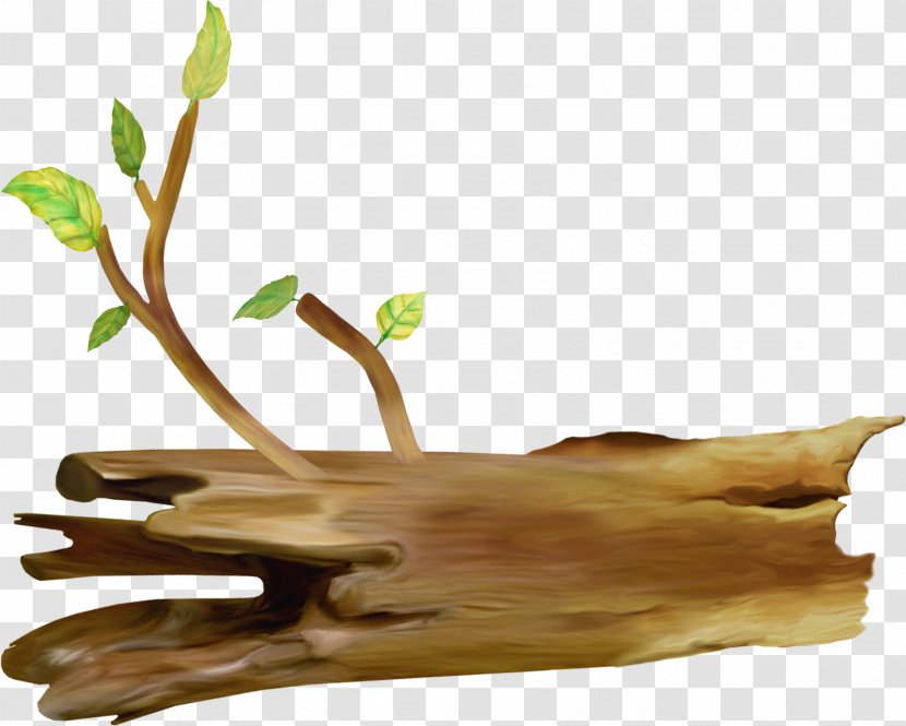 Drawing Tree Clip Art - Trunk - Wood Transparent PNG