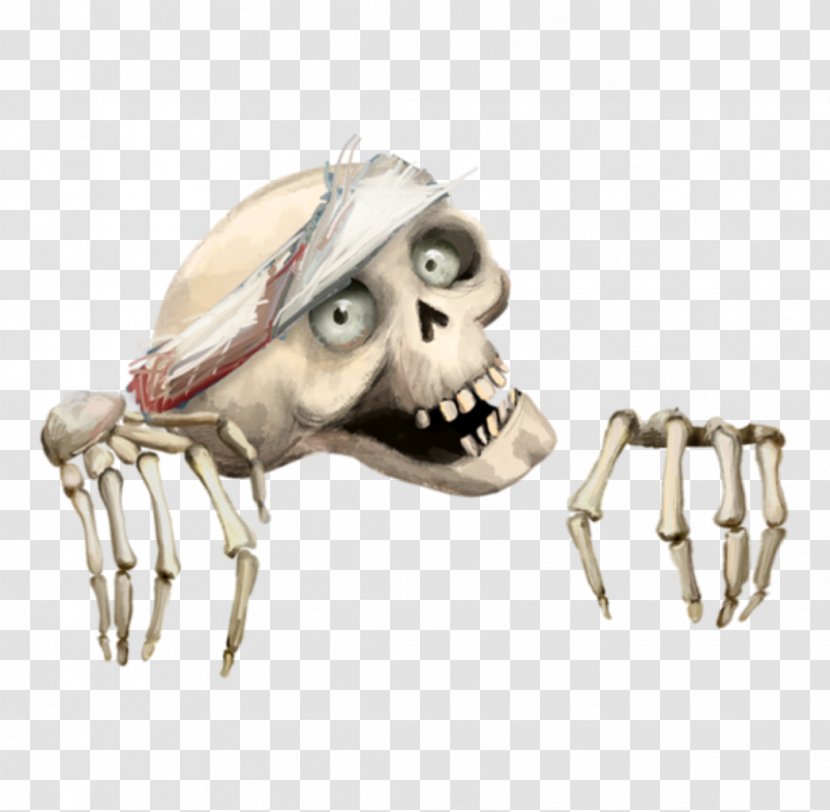 Skull Bone Head Skeleton - Jaw Transparent PNG