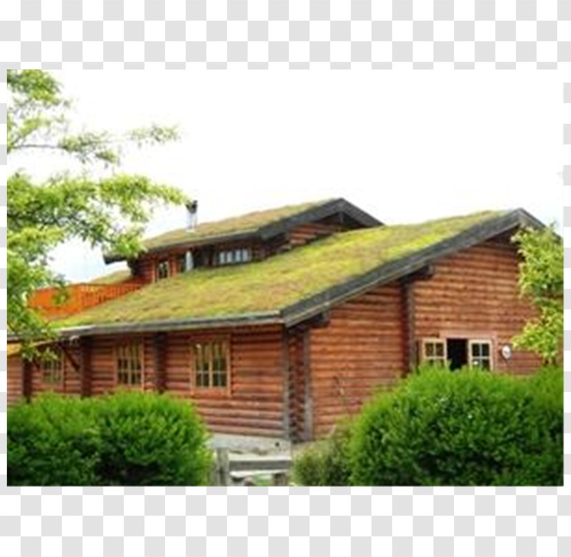 Green Roof House Garden Building Insulation - Real Estate Transparent PNG