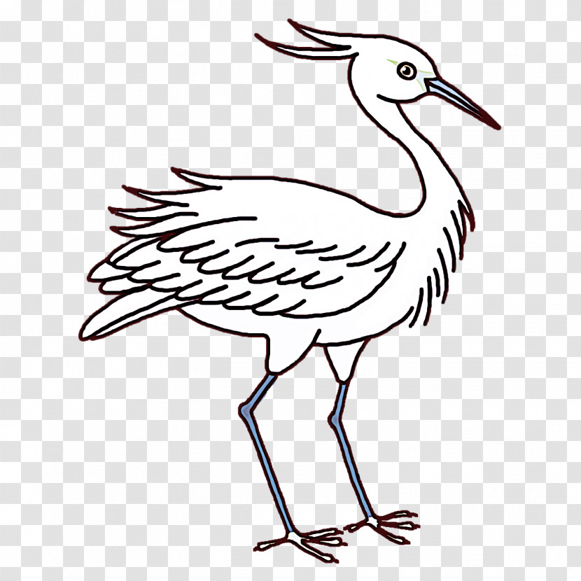 Crane Stork Birds Pelecaniformes White Stork Transparent PNG