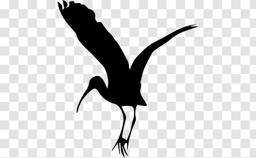Bird Stork - Tail Transparent PNG