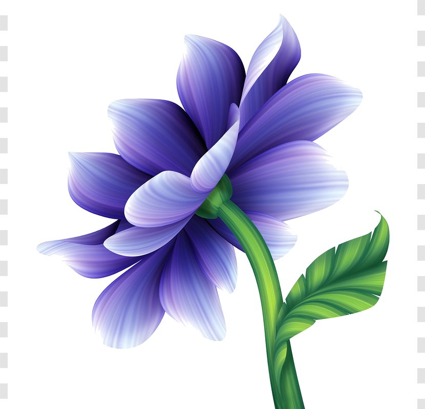 Clip Art Illustration Image Vector Graphics Stock Photography - Flower - Une Fleur Bleuviolet Transparent PNG