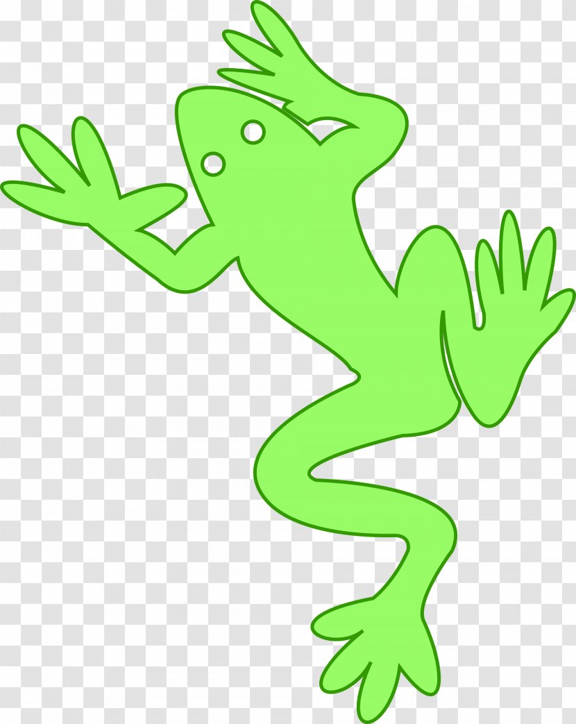 Amphibian Frog Clip Art - Coloring Book Transparent PNG