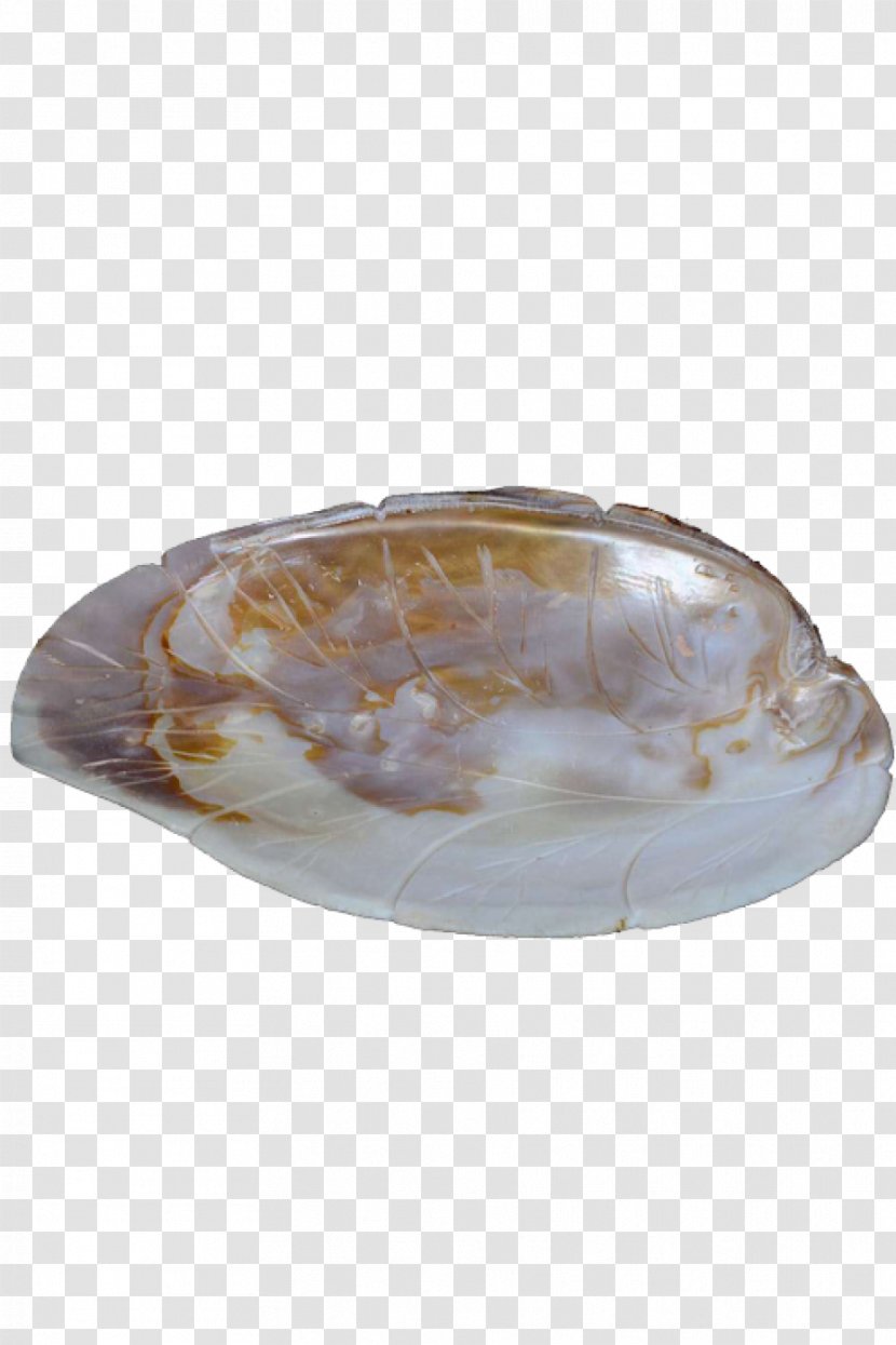 Seashell Handicraft Shellcraft Artisan Transparent PNG
