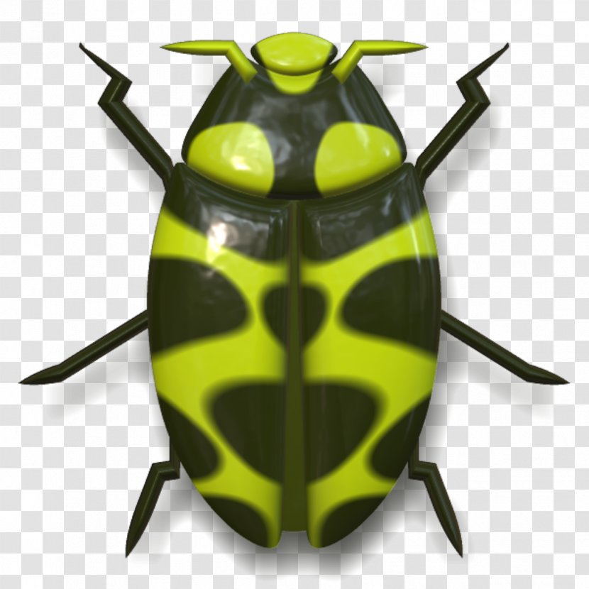 Beetle Pixabay Clip Art - Membrane Winged Insect - Green Striped Transparent PNG