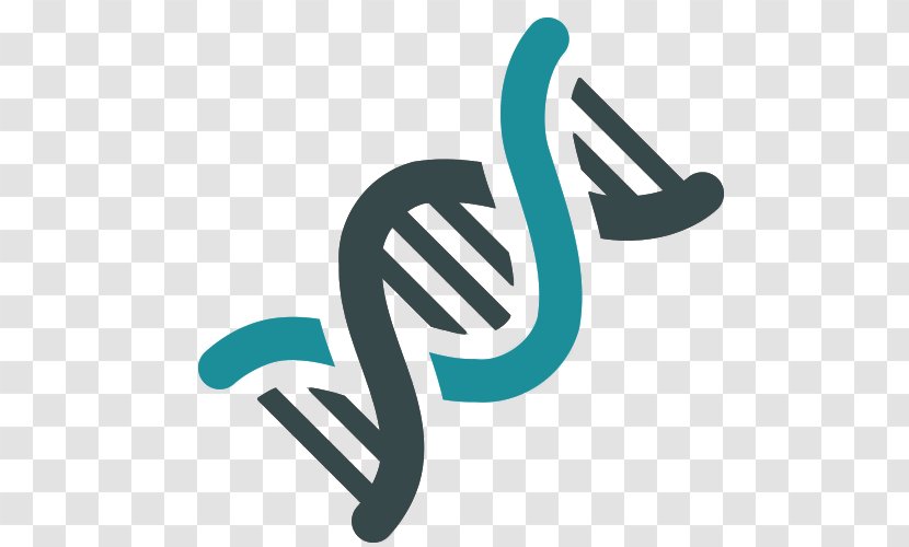 Genetics DNA Nucleic Acid Double Helix Genetic Engineering - Symbol - Vector Transparent PNG