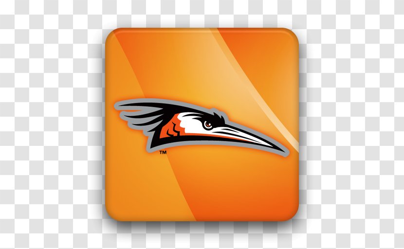 Delmarva Shorebirds Peninsula Logo - Design Transparent PNG