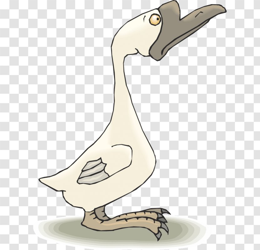 Goose Cygnini Duck Clip Art - Seabird Transparent PNG