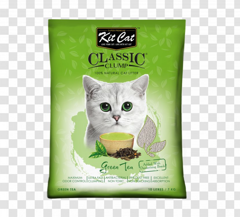 Cat Litter Trays Dog Kitten Pet - Like Mammal Transparent PNG