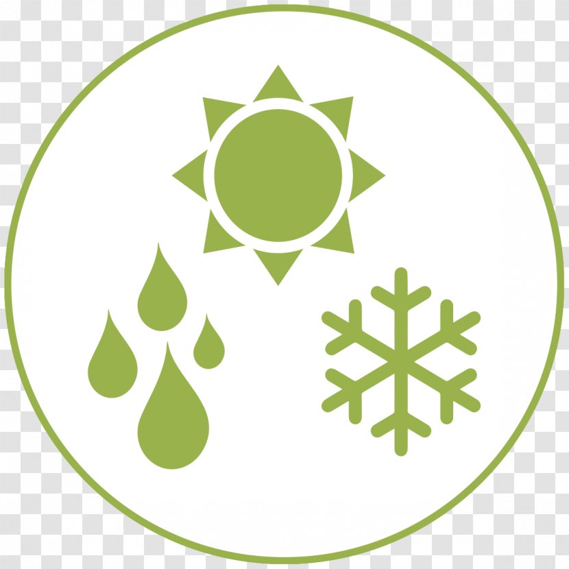 Snowflake Symbol - Brand Transparent PNG