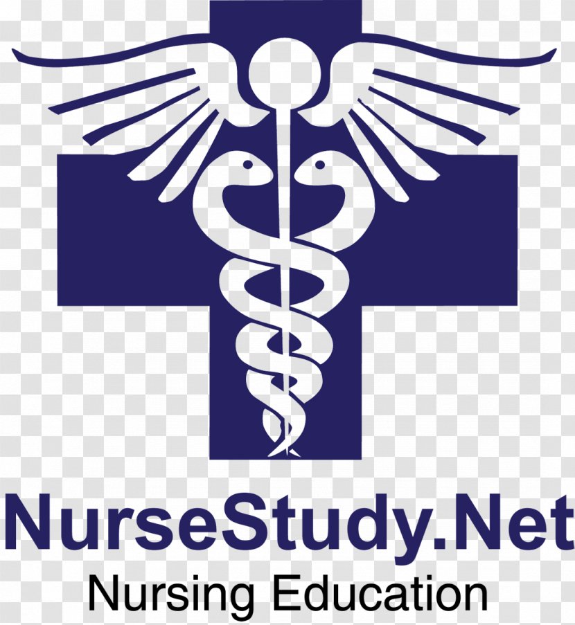 Health Insurance Test Nursing Care - Licensed Practical Nurse Transparent PNG