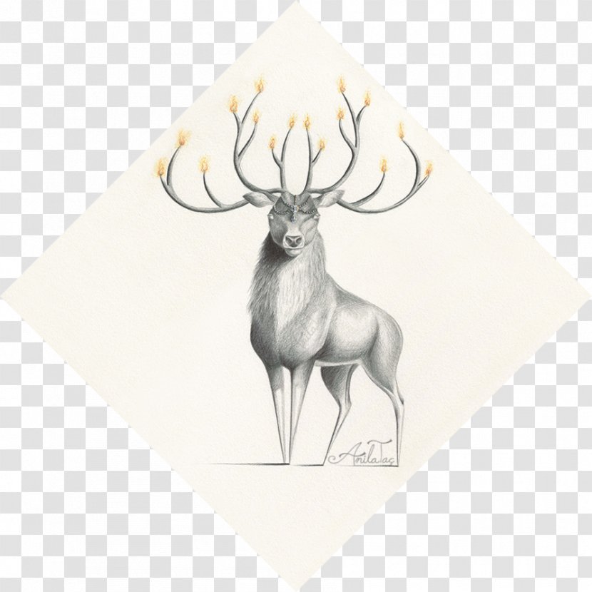 Reindeer Vertebrate Antler Drawing - Wildlife - Flame Steller Transparent PNG