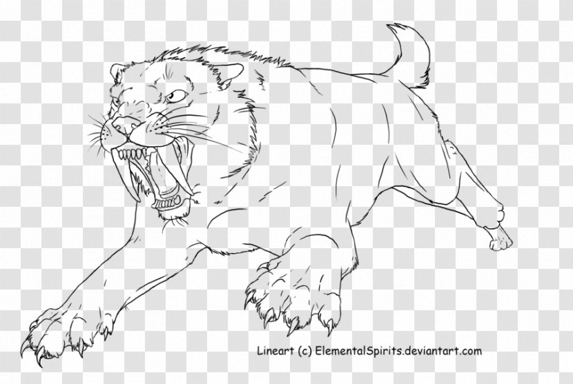 Lion Tiger Cheetah Whiskers Saber-toothed Cat Transparent PNG