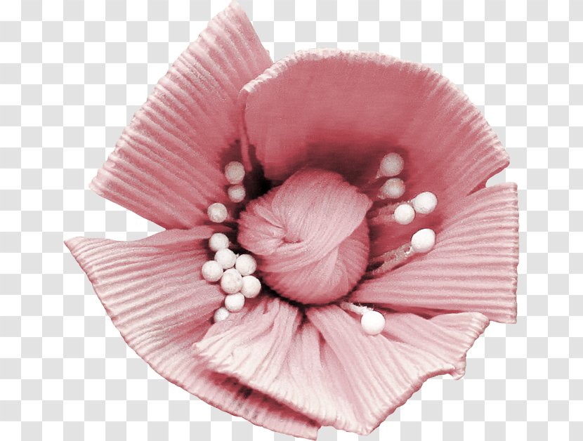 Flower Petal - Data Transparent PNG