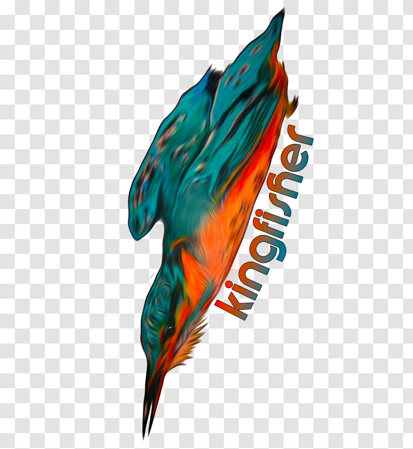 Marine Mammal Teal Feather Beak - Claw Transparent PNG