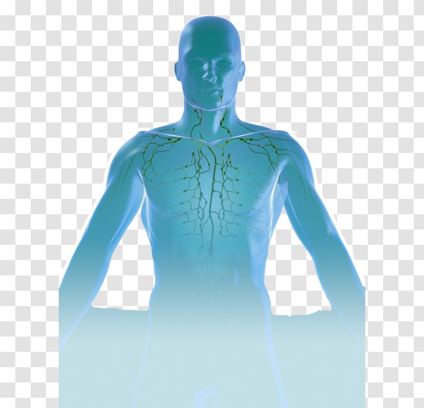 International Lymphoedema Framework Humanoid Shoulder Homo Sapiens Lymphedema - Flower Transparent PNG