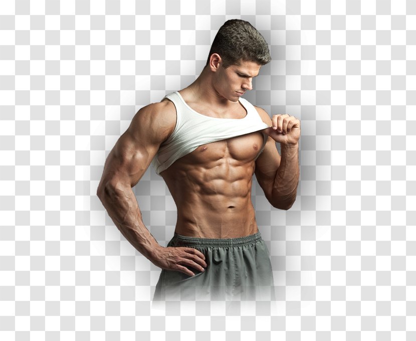 Anabolic Steroid Clenbuterol Dietary Supplement Pharmaceutical Drug - Cartoon - Frame Transparent PNG