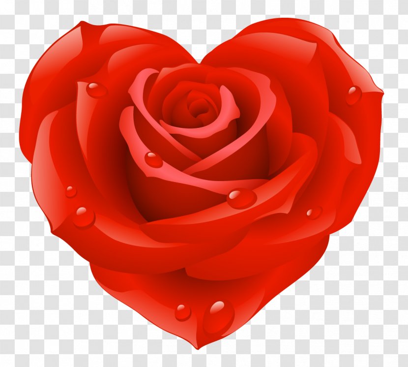 Heart Valentines Day Rose Clip Art - Order - Red Transparent PNG