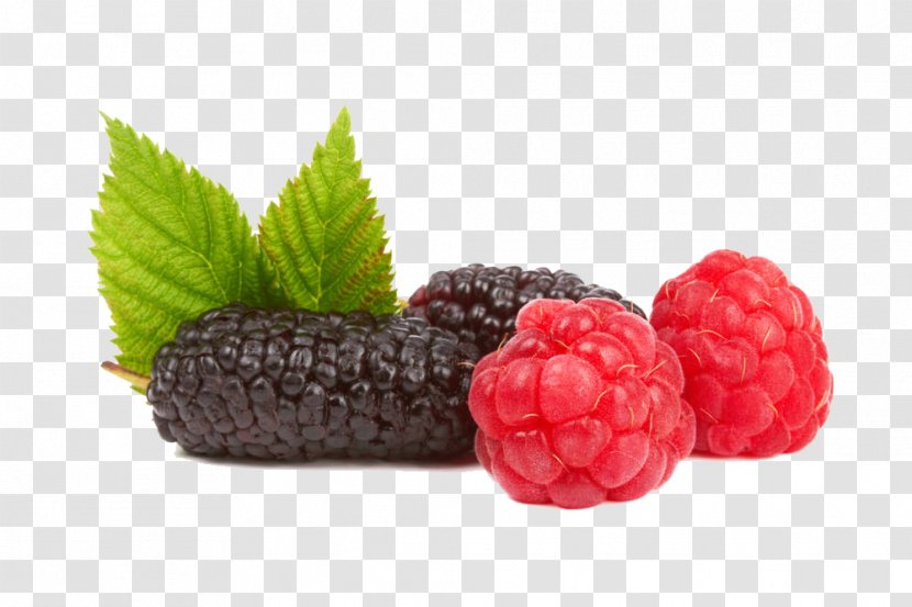 Raspberry Boysenberry Frutti Di Bosco Strawberry Tayberry - Superfood - Mulberry Close-up Transparent PNG
