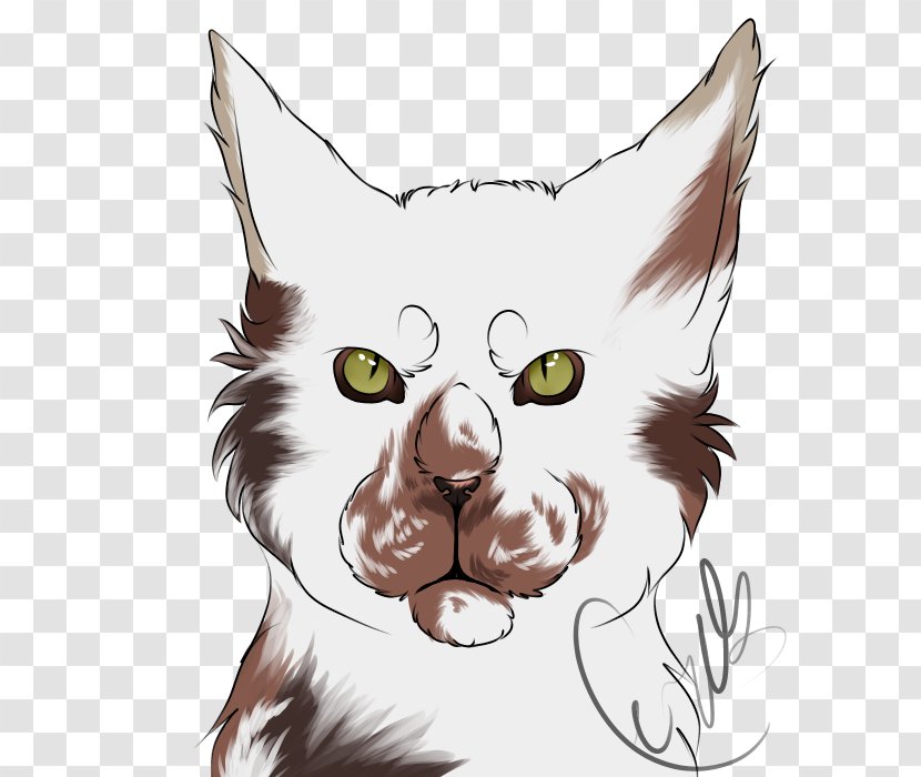 Whiskers Kitten Cat Snout Dog - Face - Buy Sell Transparent PNG