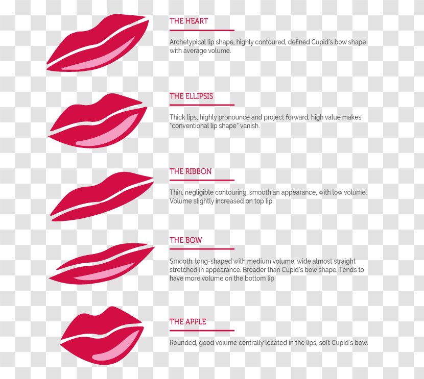 Lipstick Lip Gloss Product Design Graphics - Shoe Transparent PNG