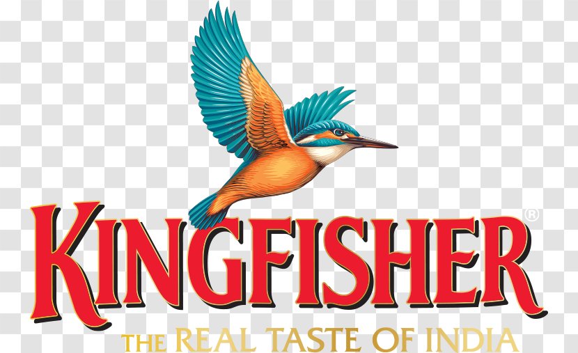 Beer In India United Breweries Group Kingfisher Logo - Airlines Transparent PNG