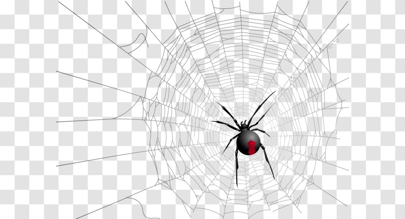 Widow Spiders Insect Symmetry Pattern - Computer - Halloween Spider Web Transparent PNG