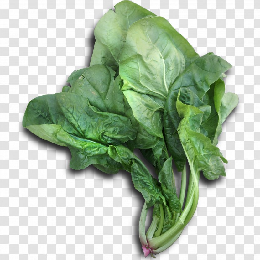 Romaine Lettuce Cabbage Chinese Broccoli Spinach Vegetable - Leaf - Green Vegetables Transparent PNG