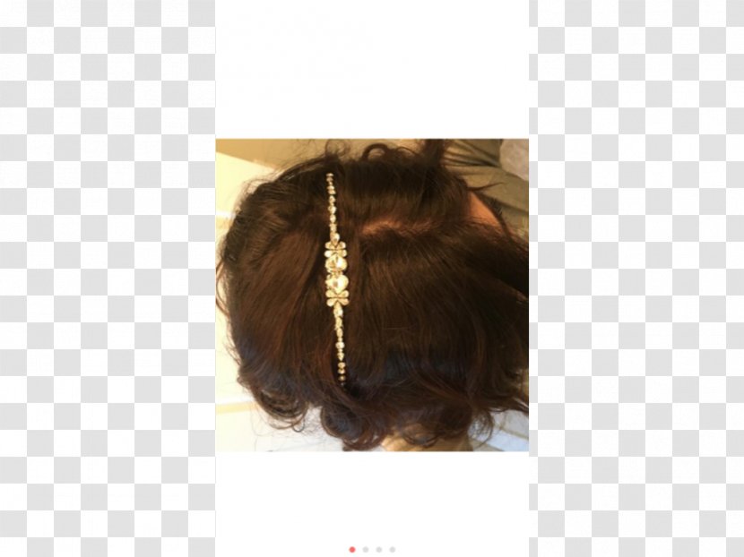 Fur Long Hair - Accessories Transparent PNG