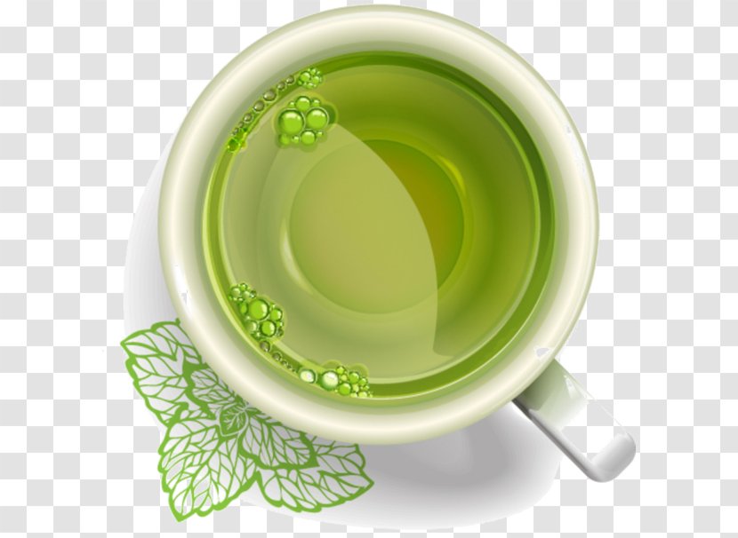 Green Tea Drawing Leaf Transparent PNG
