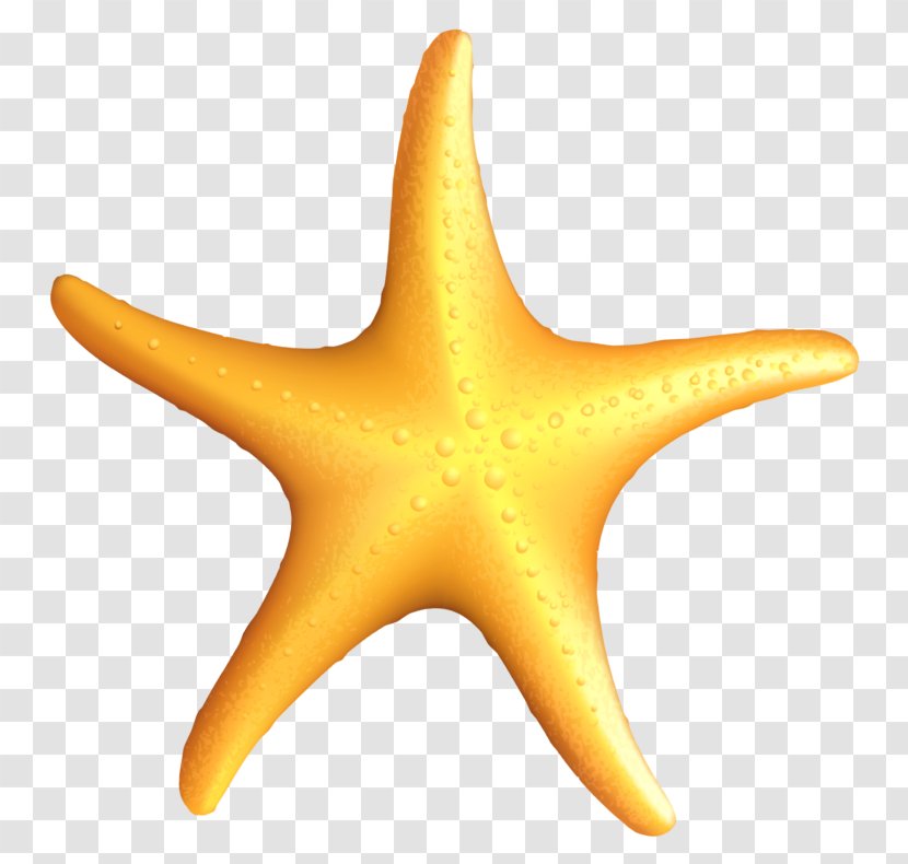 Starfish Clip Art - Organism Transparent PNG