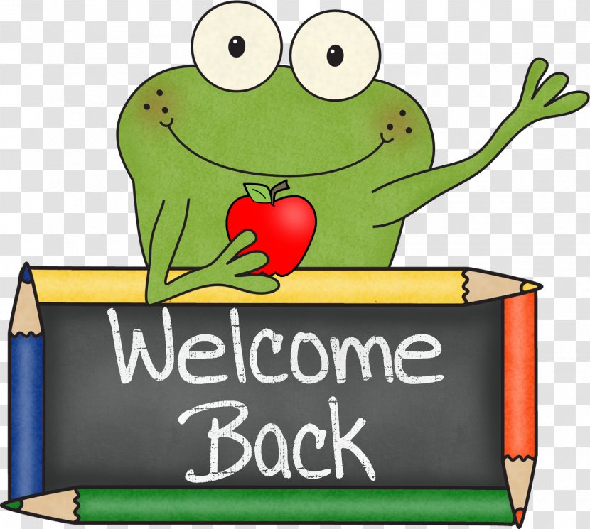 Tree Frog School Website Student - Amphibian Transparent PNG