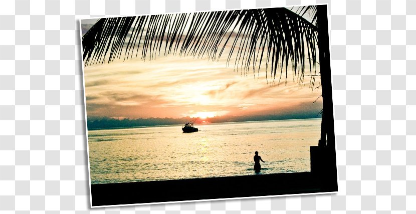 Picture Frames Stock Photography Sky Plc - Beach Bum Transparent PNG