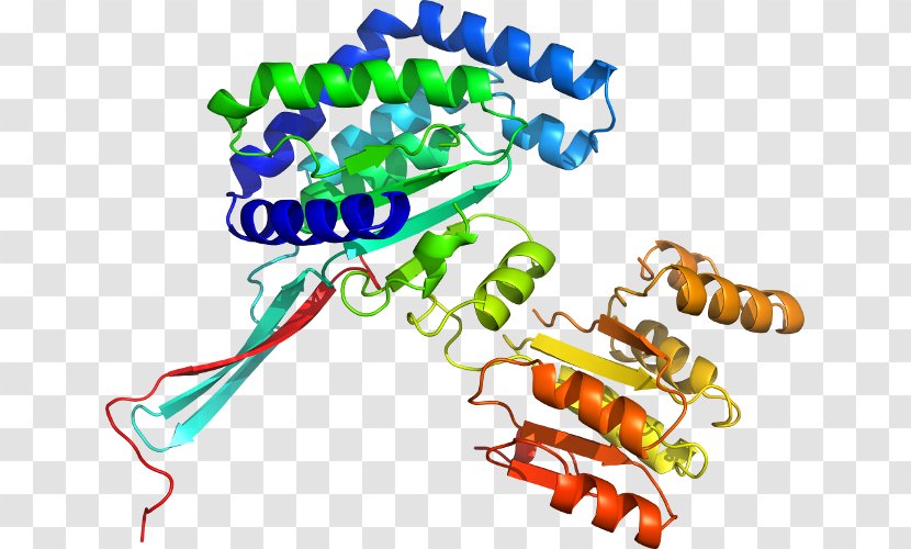 Enzyme Biotechnology Alcohol Dehydrogenase American Dental Hygienists' Association - Freezedrying - Beta2 Microglobulin Transparent PNG