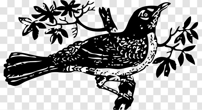 To Kill A Mockingbird Drawing Clip Art - Cuculiformes - Tree-bird Transparent PNG