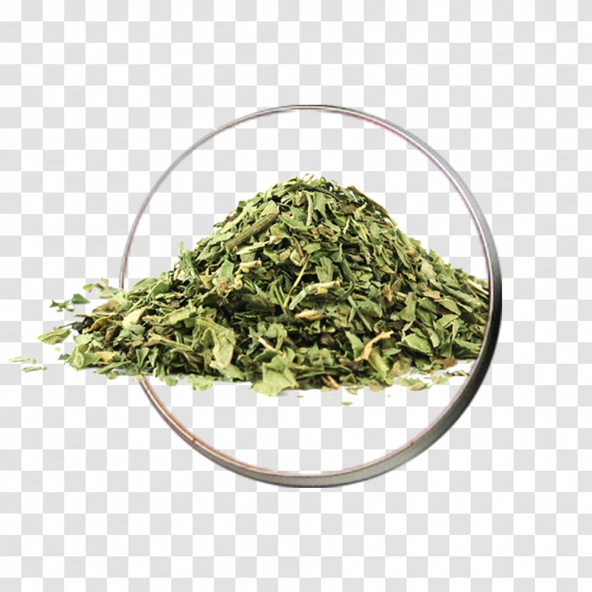 Peppermint Mentha Spicata Herb Wild Mint Tea Transparent PNG