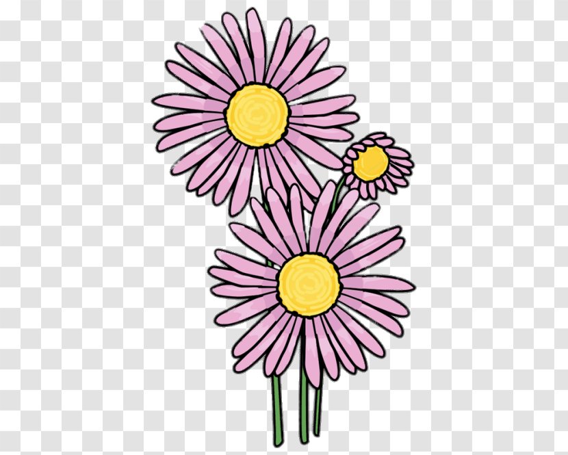Common Daisy Drawing Flower Clip Art - Family Transparent PNG